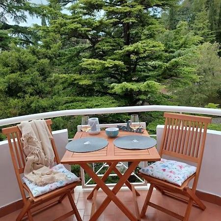 Stunning New Apartment In Centre Of Buzet Eksteriør billede