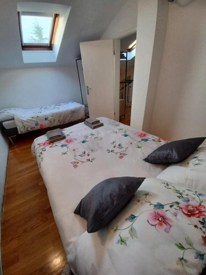 Stunning New Apartment In Centre Of Buzet Eksteriør billede